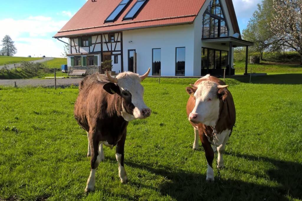 5Sterne Ferienwohnung Im Fachwerk Mit Bergblick In Alleinlage Und Grossem Garten, Infrarotkabine Humberg Ngoại thất bức ảnh