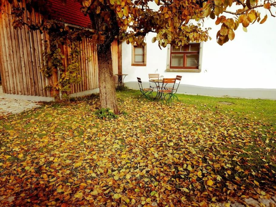 5Sterne Ferienwohnung Im Fachwerk Mit Bergblick In Alleinlage Und Grossem Garten, Infrarotkabine Humberg Ngoại thất bức ảnh